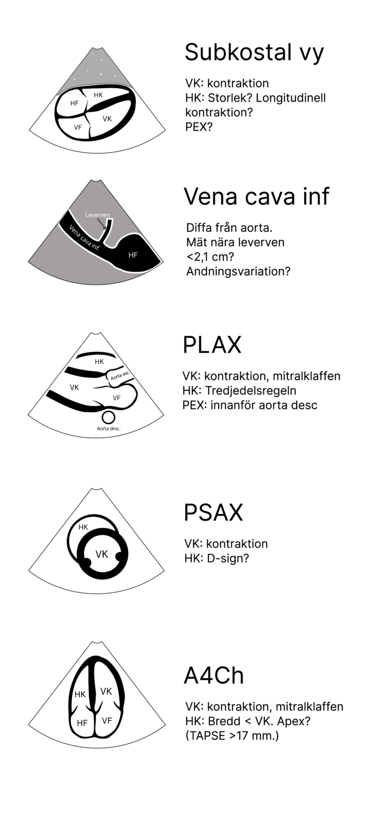 Pocket card describing basic POCUS views of the heart